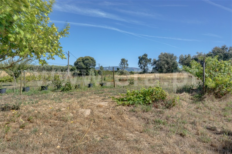 Quinta T4 Bombarral, Carvalhal - 1494101 - 20
