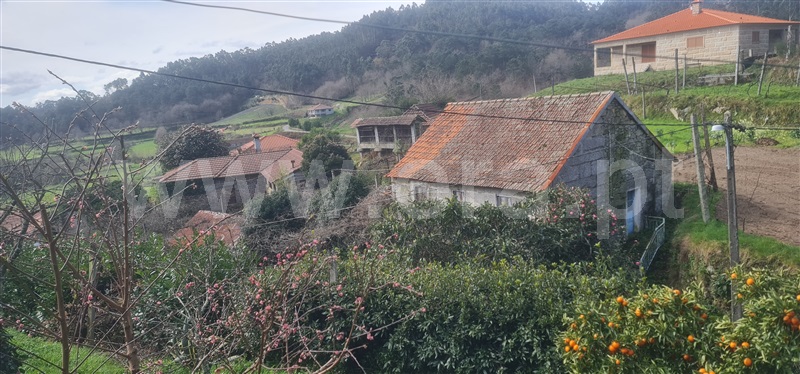 Quinta T4 Celorico de Basto, Borba de Montanha - 1390802 - 5
