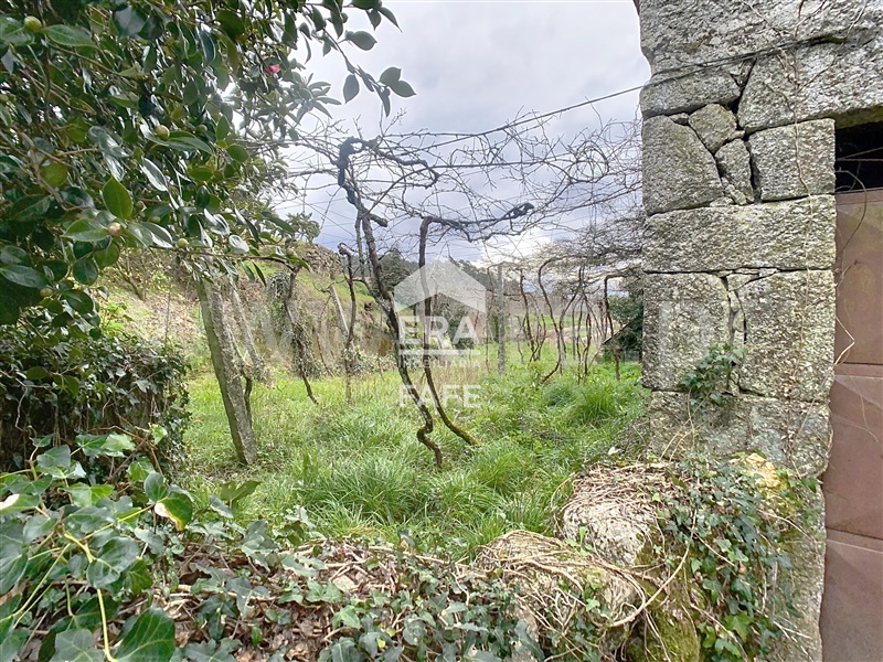 Quinta T4 Celorico de Basto, Borba de Montanha - 1390802 - 4
