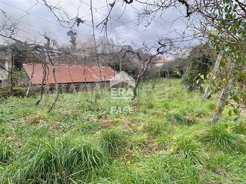 Quinta T4 Celorico de Basto, Borba de Montanha - 1390802 - 12