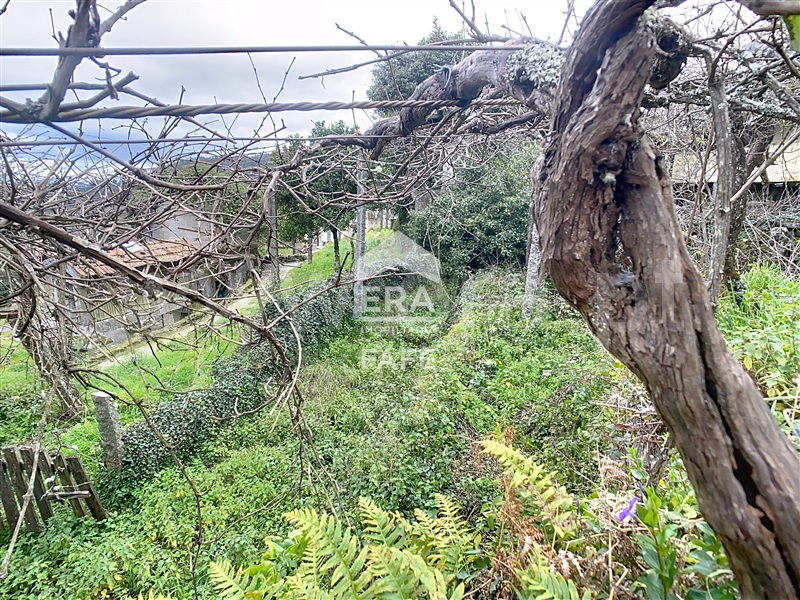 Quinta T4 Celorico de Basto, Borba de Montanha - 1390802 - 17