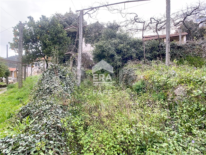 Quinta T4 Celorico de Basto, Borba de Montanha - 1390802 - 19
