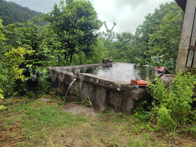 Quinta T4 Celorico de Basto, Caçarilhe e Infesta - 1332265 - 18