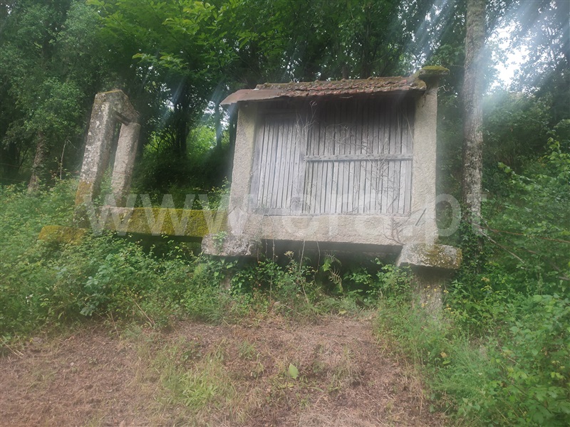 Quinta T4 Celorico de Basto, Caçarilhe e Infesta - 1332265 - 20