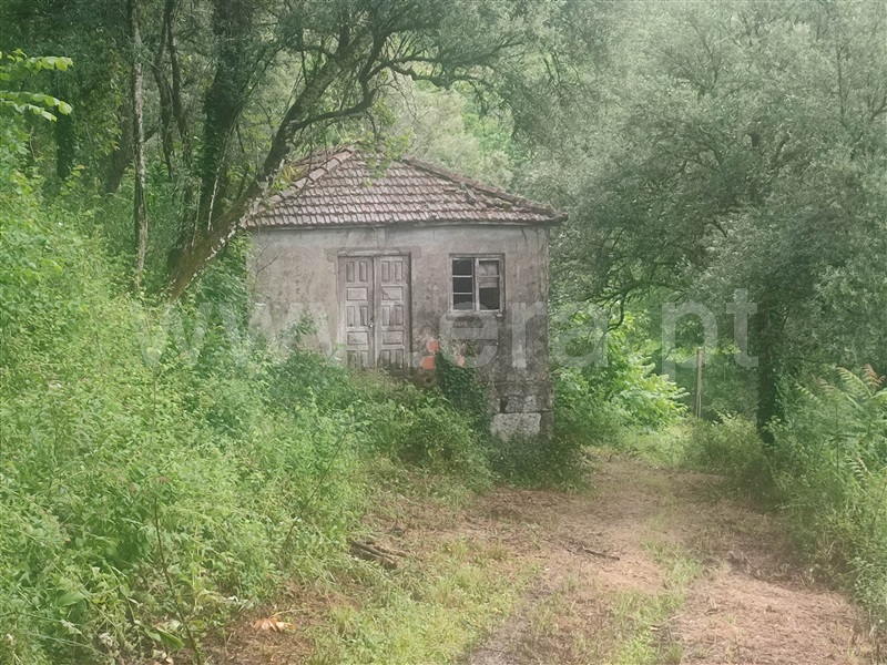 Quinta T4 Celorico de Basto, Caçarilhe e Infesta - 1332265 - 21