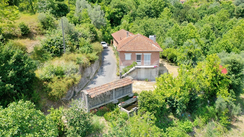 Quinta T4 / Celorico de Basto, Caçarilhe e Infesta