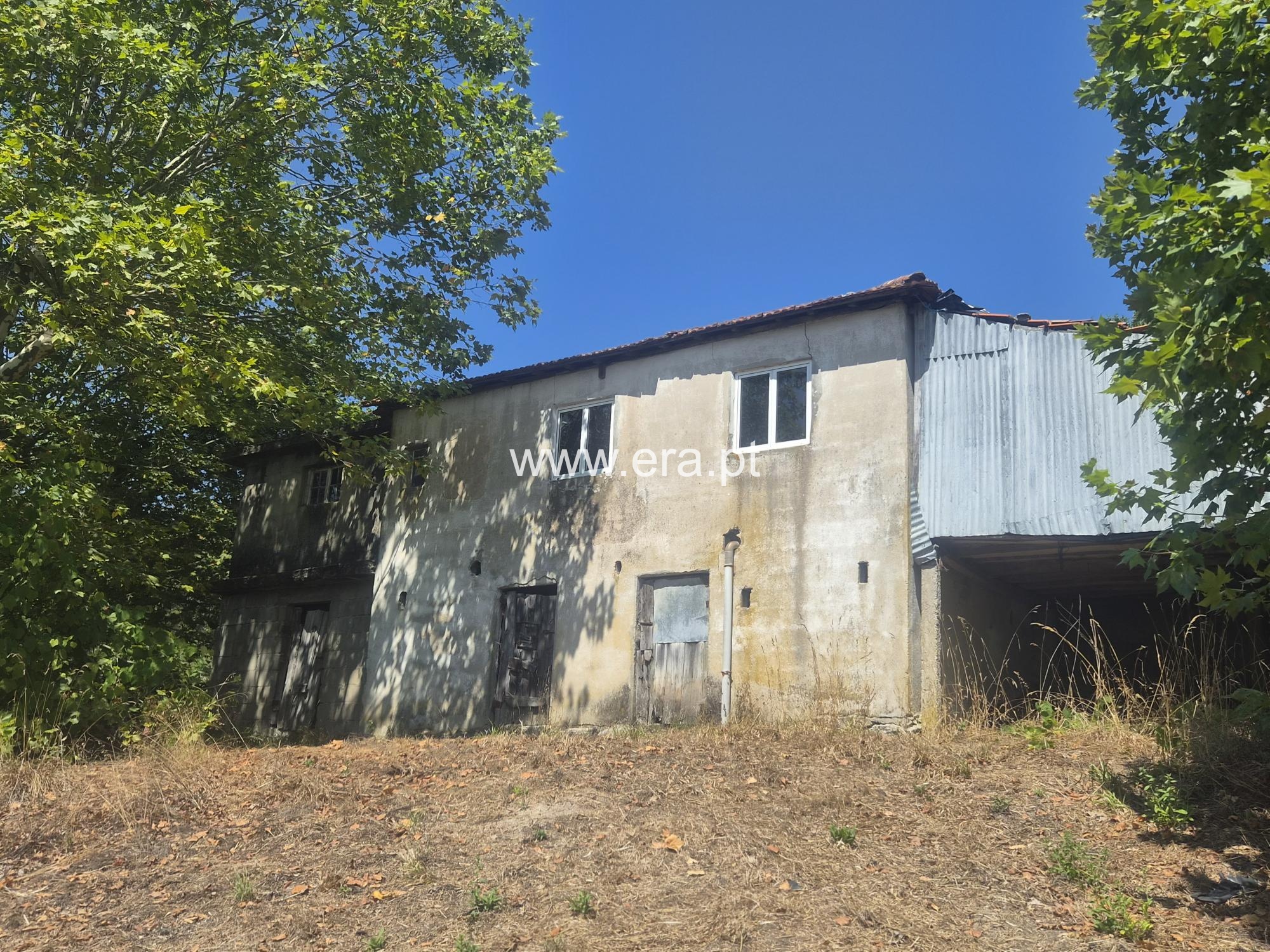 Quinta T4 / Celorico de Basto, Ribas