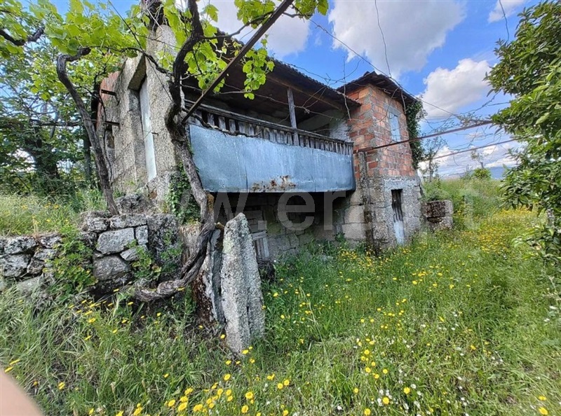 Quinta T4 Celorico de Basto, Vale de Bouro - 1487686 - 4