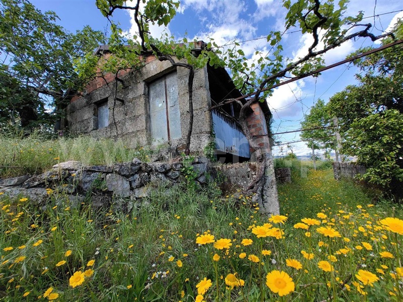 Quinta T4 Celorico de Basto, Vale de Bouro - 1487686 - 5