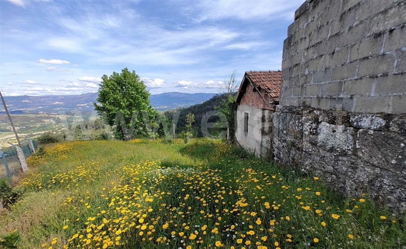 Quinta T4 Celorico de Basto, Vale de Bouro - 1487686 - 8