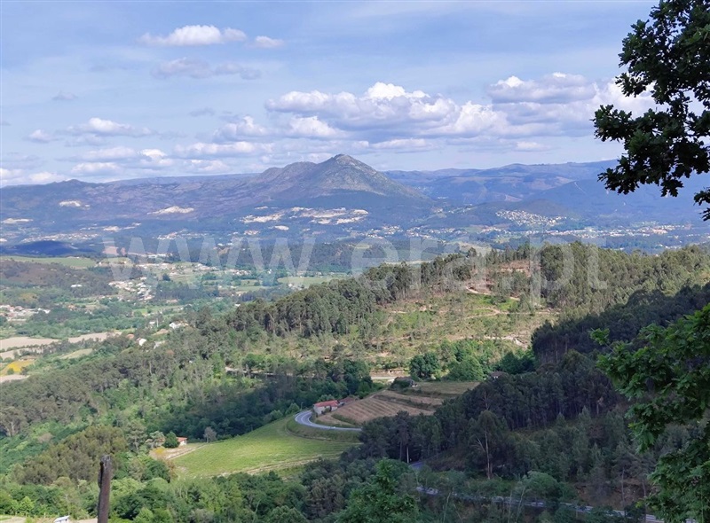 Quinta T4 Celorico de Basto, Vale de Bouro - 1487686 - 9
