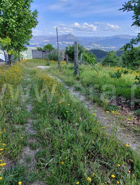 Quinta T4 Celorico de Basto, Vale de Bouro - 1487686 - 12