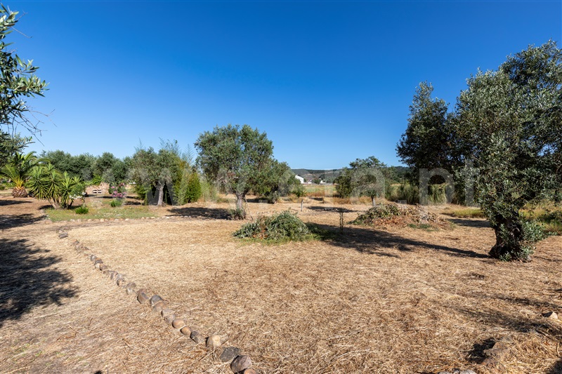 Quinta T4 Constância, Montalvo - 1413092 - 4