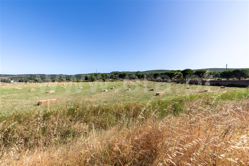 Quinta T4 Constância, Montalvo - 1413092 - 5