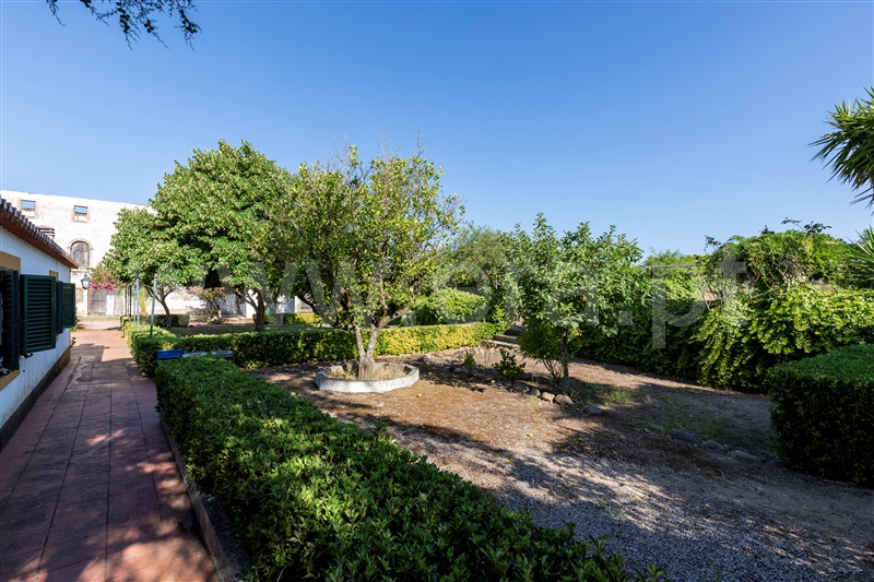 Quinta T4 Constância, Montalvo - 1413092 - 6