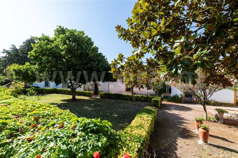 Quinta T4 Constância, Montalvo - 1413092 - 14