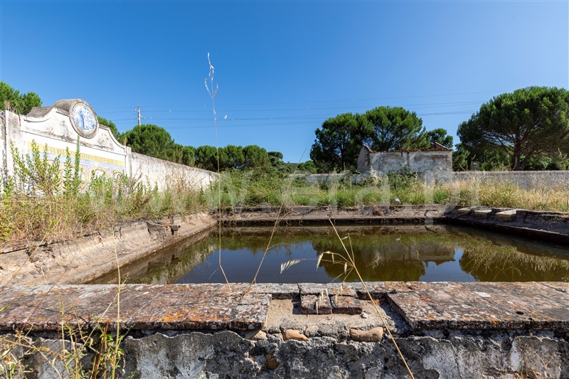 Quinta T4 Constância, Montalvo - 1413092 - 15