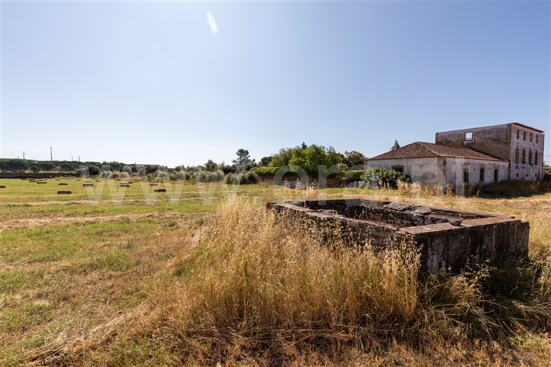 Quinta T4 Constância, Montalvo - 1413092 - 16