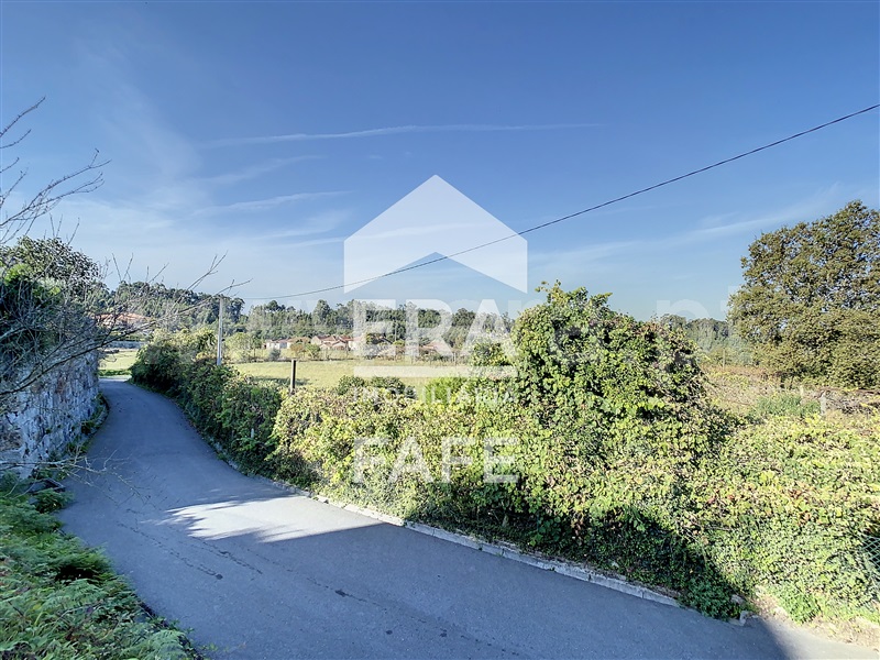 Quinta T4 Fafe, Ardegão, Arnozela e Seidões - 1353021 - 3