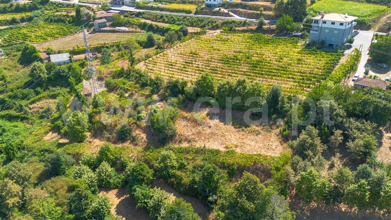 Quinta T4 Felgueiras, Aião - 1482132 - 4