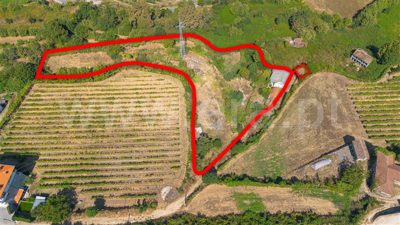 Quinta T4 / Felgueiras, Aião