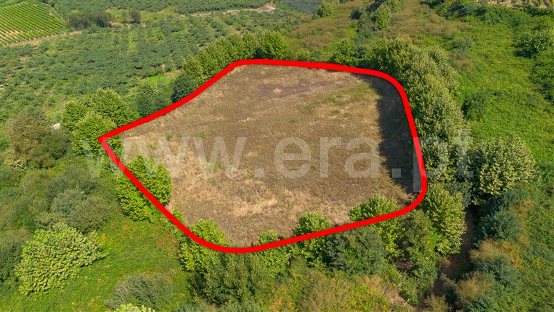 Quinta T4 Felgueiras, Aião - 1482132 - 5