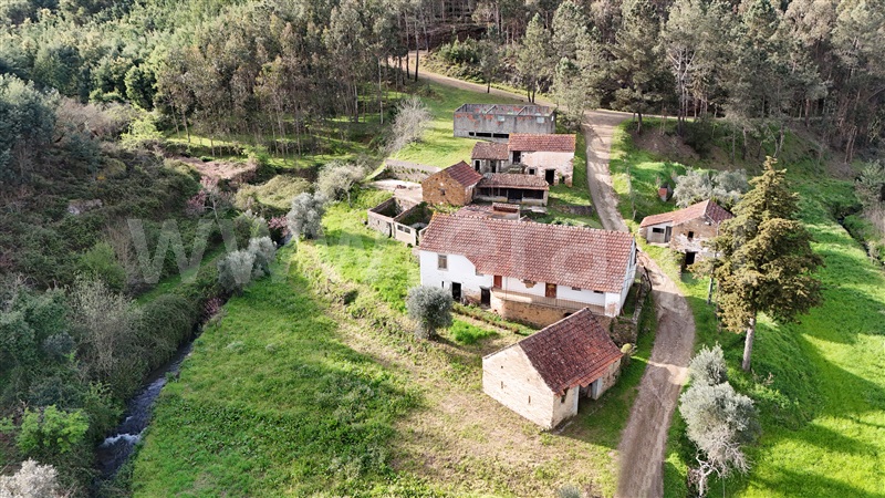 Quinta T4 / Ferreira do Zêzere, Águas Belas