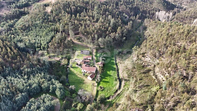Quinta  Ferreira do Zêzere, Águas Belas - 1392837 - 2