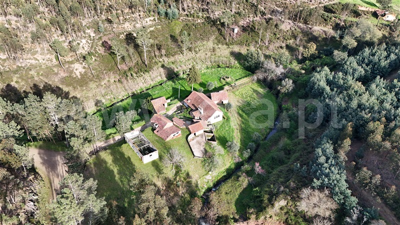 Quinta  Ferreira do Zêzere, Águas Belas - 1392837 - 3