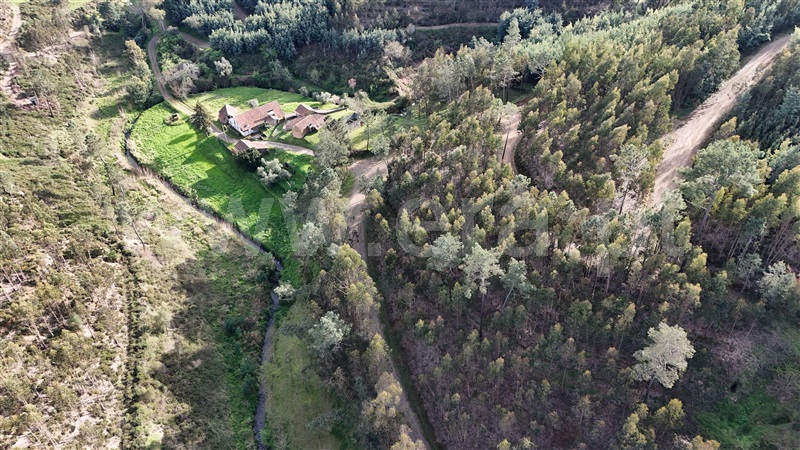 Quinta  Ferreira do Zêzere, Águas Belas - 1392837 - 5