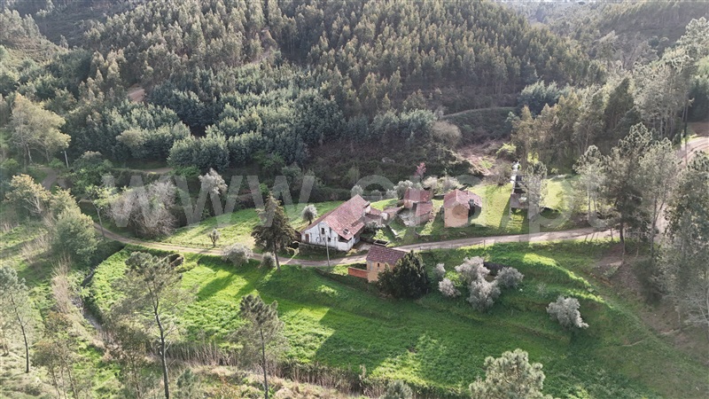 Quinta  Ferreira do Zêzere, Águas Belas - 1392837 - 6