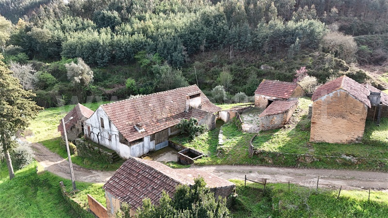 Quinta  Ferreira do Zêzere, Águas Belas - 1392837 - 7