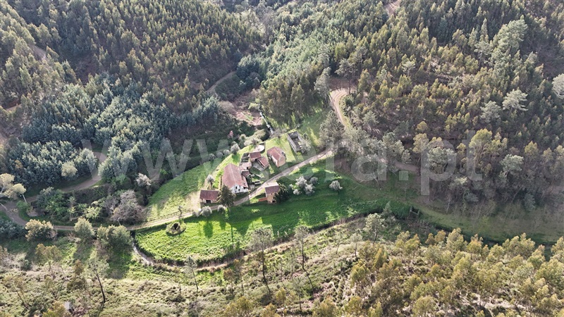 Quinta  Ferreira do Zêzere, Águas Belas - 1392837 - 10