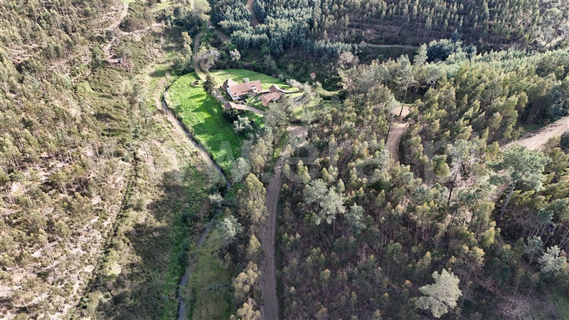 Quinta  Ferreira do Zêzere, Águas Belas - 1392837 - 11
