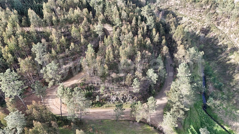 Quinta  Ferreira do Zêzere, Águas Belas - 1392837 - 12
