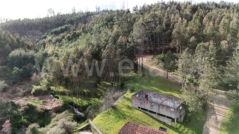 Quinta  Ferreira do Zêzere, Águas Belas - 1392837 - 13