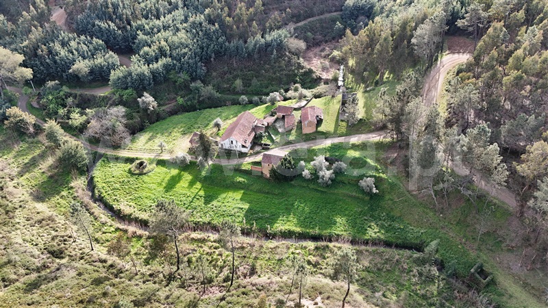Quinta  Ferreira do Zêzere, Águas Belas - 1392837 - 15
