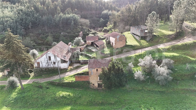 Quinta  Ferreira do Zêzere, Águas Belas - 1392837 - 16