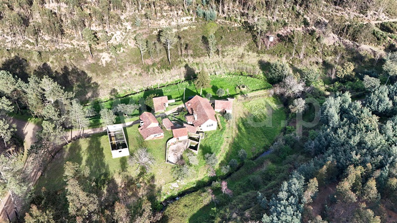 Quinta  Ferreira do Zêzere, Águas Belas - 1392837 - 17
