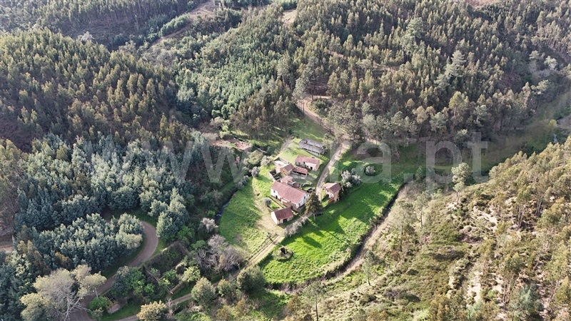 Quinta  Ferreira do Zêzere, Águas Belas - 1392837 - 18