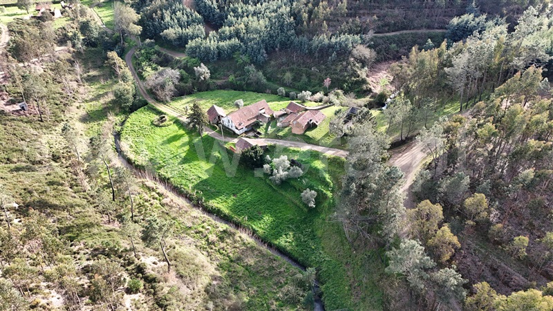 Quinta  Ferreira do Zêzere, Águas Belas - 1392837 - 20