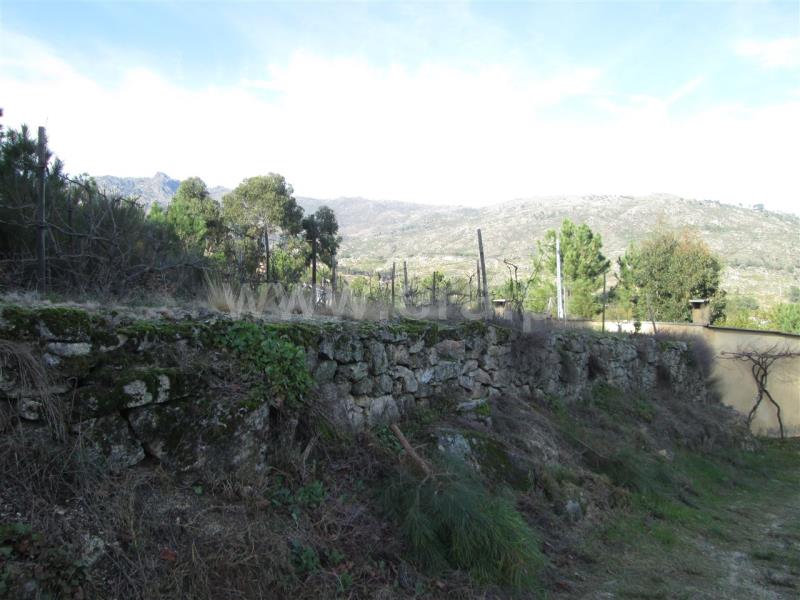 Quinta T4 Fundão, Castelo Novo - 636184 - 19