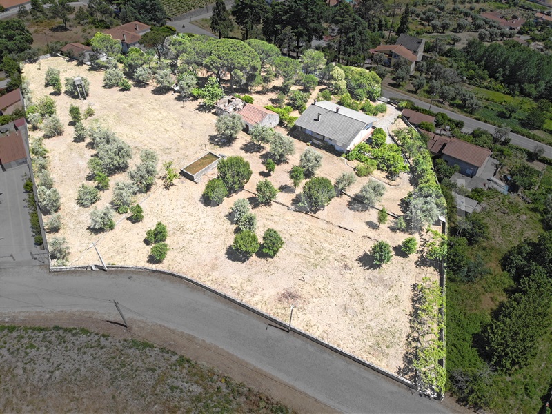 Quinta T4 / Mangualde, Mangualde