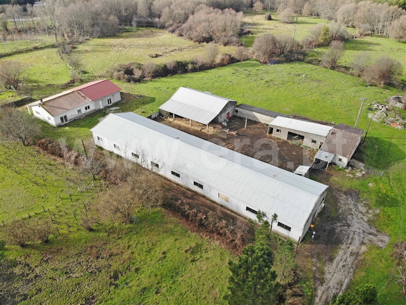 Quinta  Mangualde, Quintela de Azurara - 1459087 - 12