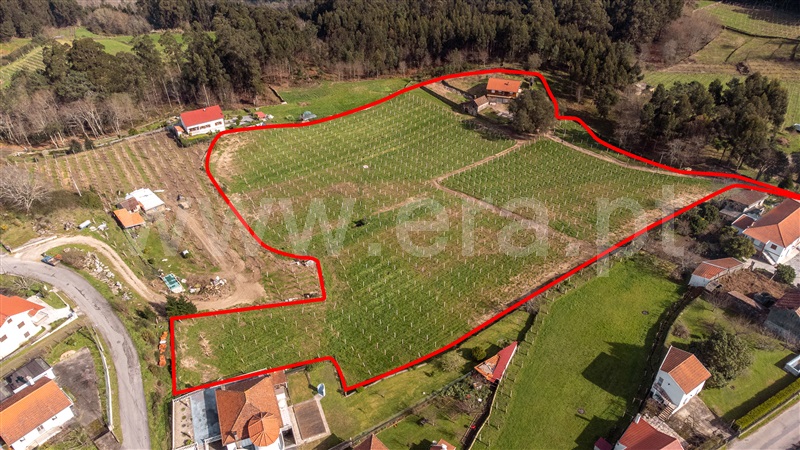 Quinta T4 com Grande Melgaço, Chaviães e Paços - 1384844 - 34