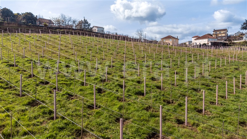 Quinta T4 com Grande Melgaço, Chaviães e Paços - 1384844 - 45