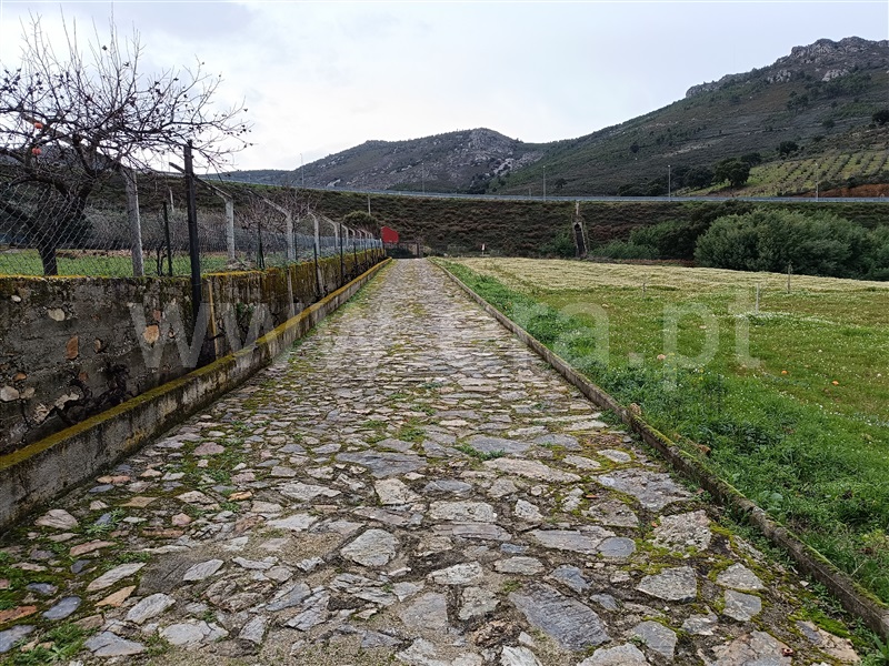 Quinta T4 Mirandela, Lamas de Orelhão - 1375785 - 18