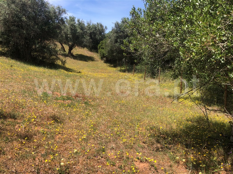 Quinta T4 Montemor-o-Novo, Nossa Senhora da Vila, Nossa Senhora do Bispo e Silveiras - 1413617 - 14