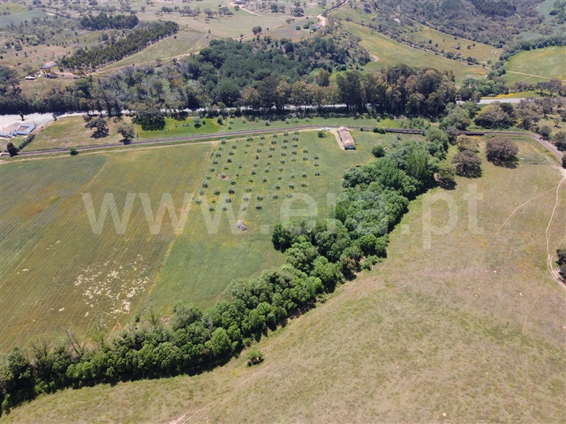 Quinta T4 Odemira, Colos - 1247657 - 26