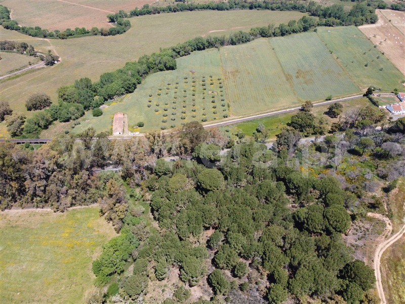 Quinta T4 Odemira, Colos - 1247657 - 30